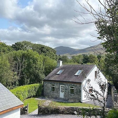 Bryn Rhedyn Cottage Cwm-y-glo Eksteriør bilde