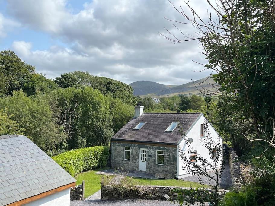 Bryn Rhedyn Cottage Cwm-y-glo Eksteriør bilde